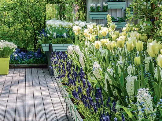 Réaliser une composition florale printanière : conseils et inspirations