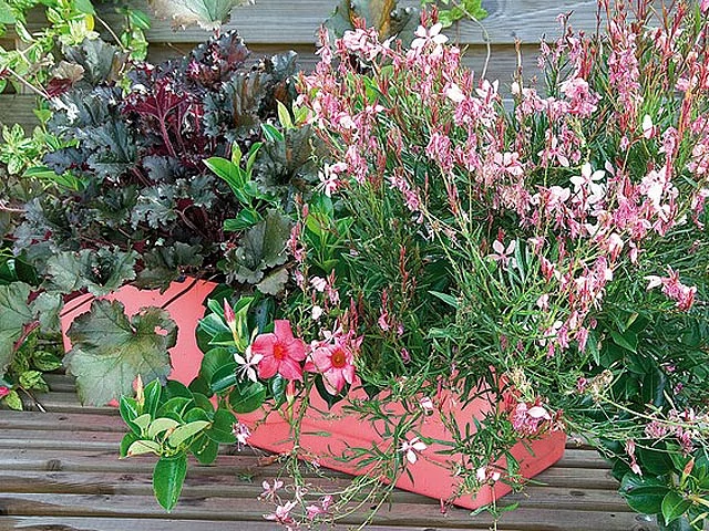 F. Marre - Rustica - Globe planter (45) F. Marre - Rustica - Globe planter (45)