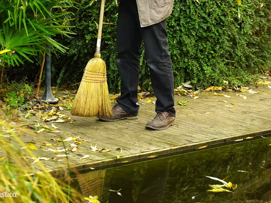 Hivernage et entretien d'un bassin à poissons en automne