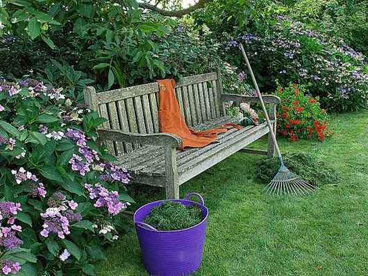 Que faire en août pour la pelouse et le bassin ?