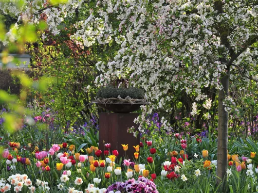 Une année dans la vie de l'arbre : le printemps