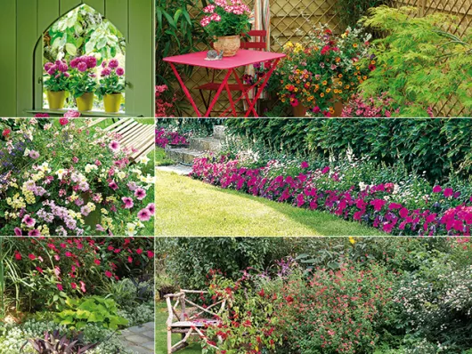 Que planter en avril : fleurs pour un jardin éblouissant cet été