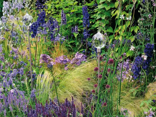 Que planter en août au jardin : plantation de saison