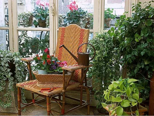Plantes d'intérieur : de la lumière, même en hiver