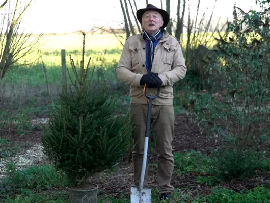 Planter son sapin de Noël au jardin : guide pratique après les fêtes