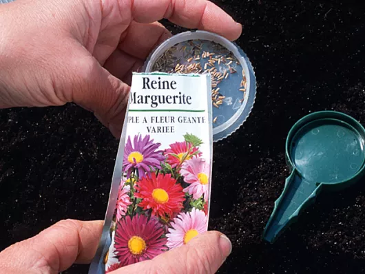 Semer et bouturer les fleurs et arbustes