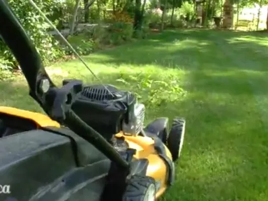Tondre et mulcher la pelouse : les bons outils et gestes
