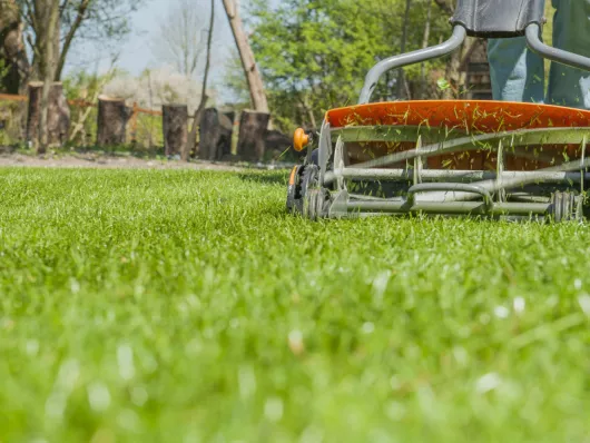 Jardinage avec la lune : comment tondre votre pelouse efficacement