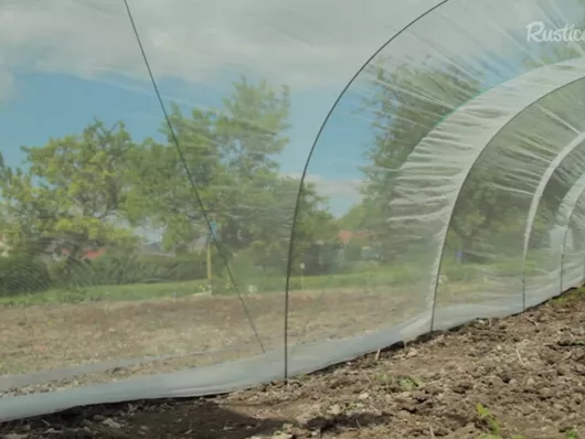 L'installation d'un tunnel chenille anti-insectes